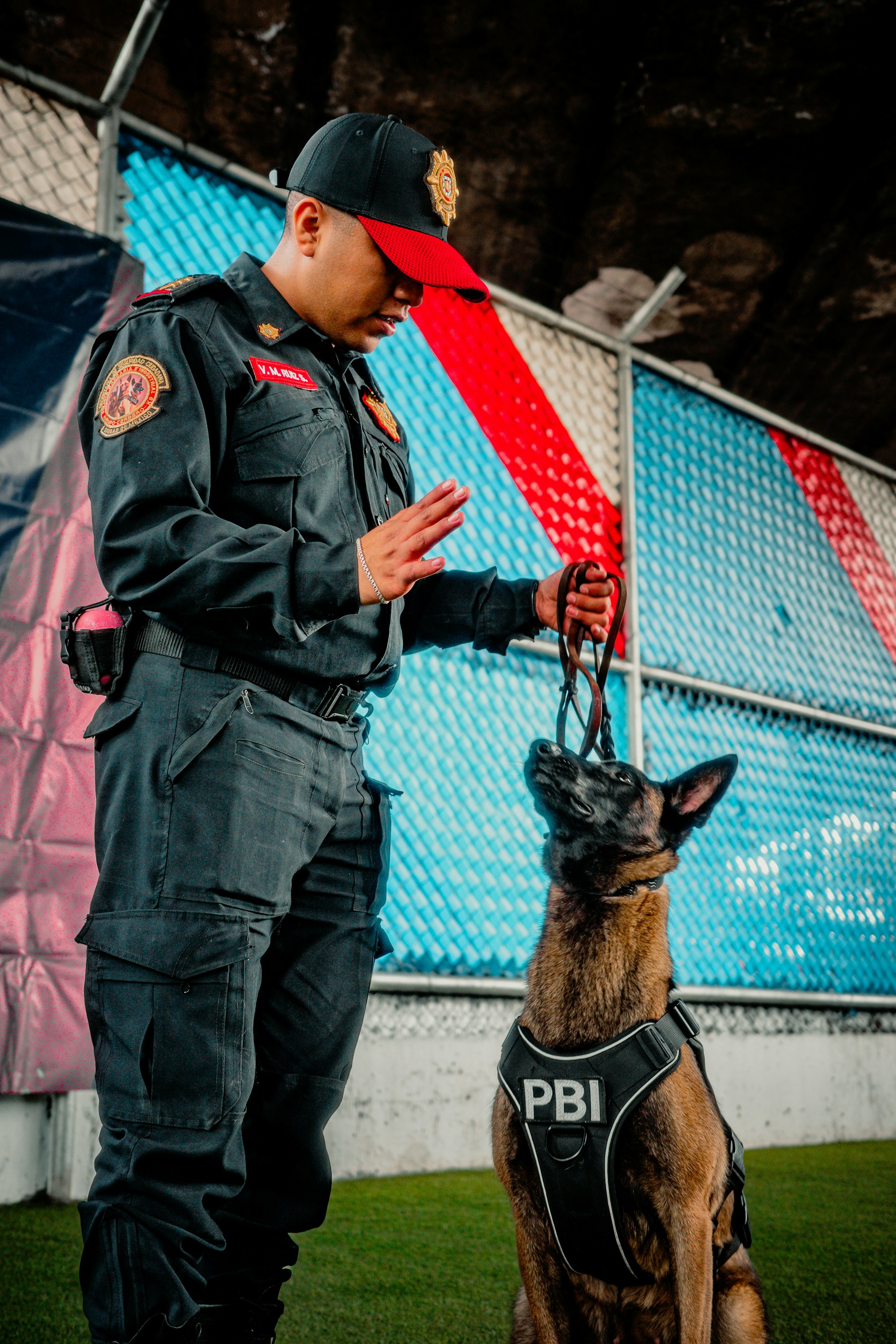 Security dog handler working with a trained patrol dog